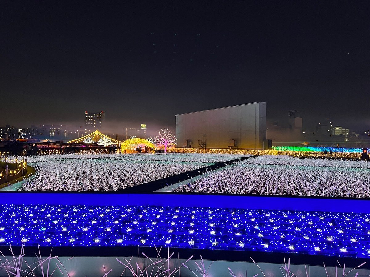 🏇 오이 경마장(오이케이바조) 이미지 4